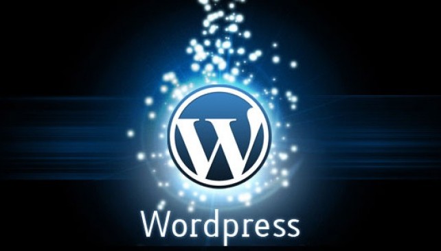 wordpress_plaginy