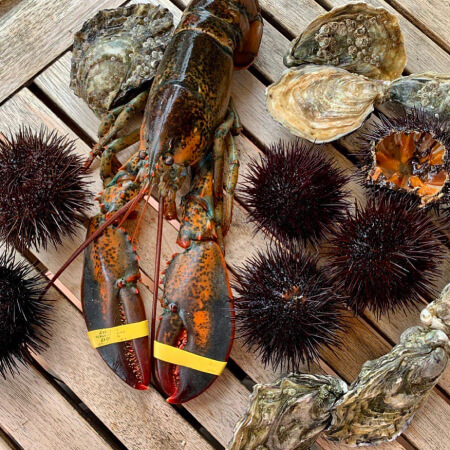 еда из Испании 4