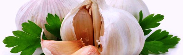 Чеснок в испанской кухне