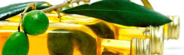 Лучшее оливковое масло - на конкурсе в Израиле