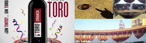Винный фестиваль Vino de Toro в Вальядолиде