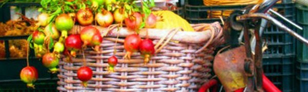 В Испании растет потребление органических продуктов