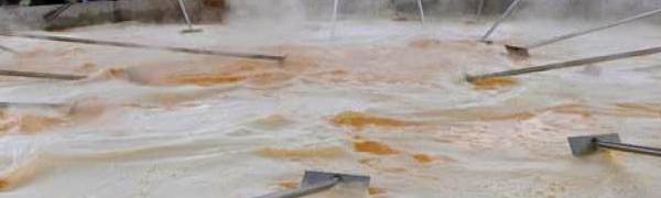 Испанская тортилья не попала в Книгу рекордов Гиннесса