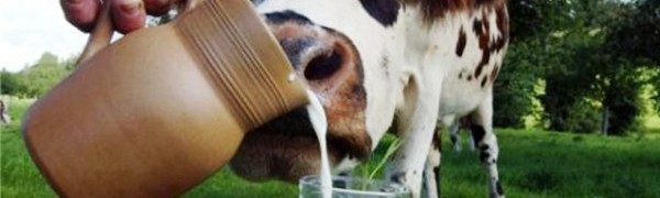 В Испании увеличились цены на молоко