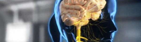 В Барселоне разработан способ доставки лекарства в мозг